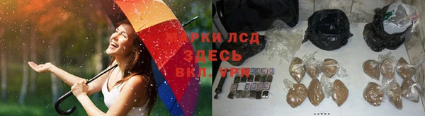 СК Армянск