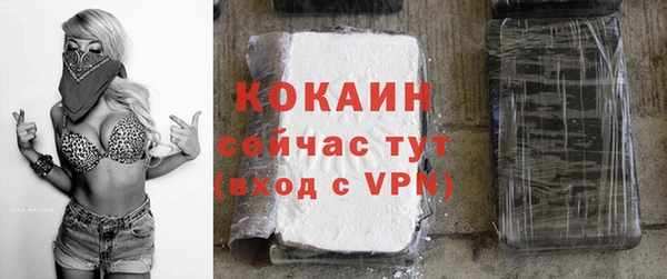 дживик Аркадак