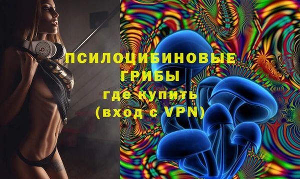 прущая мука Арсеньев
