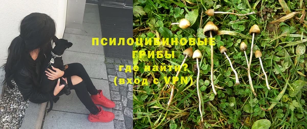 apvp Алексин