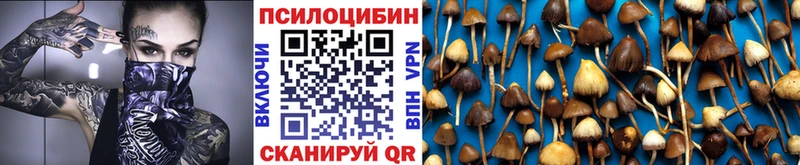Псилоцибиновые грибы мухоморы  Верхняя Салда 